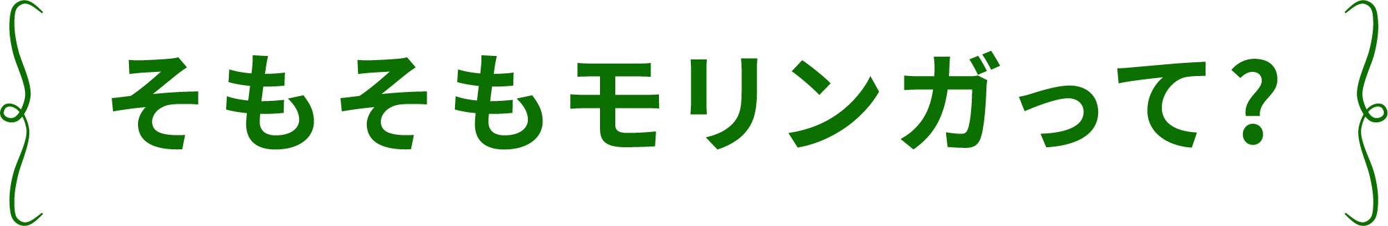 そもそもモリンガって？