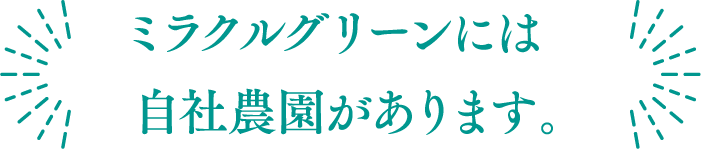 SP　ミラクルグリーン　自家農園